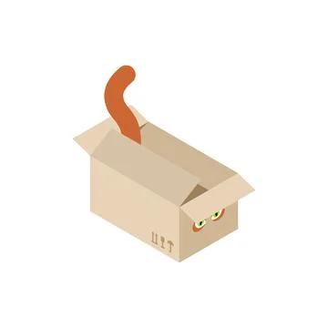 Cat in box. Pet sits in box and sticks out its tail Illustration
