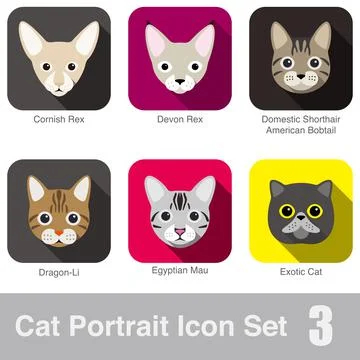 Cat breed face cartoon flat icon design Stock Illustration
