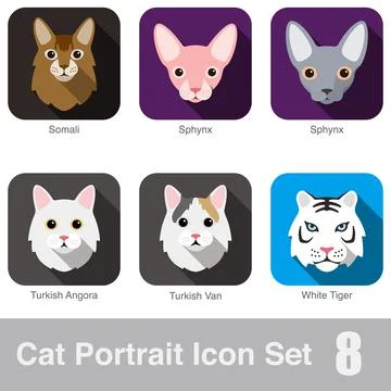 Cat breed face cartoon flat icon design Stock-Illustration