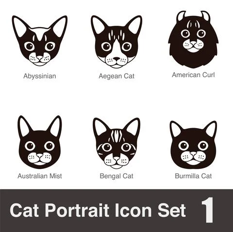 Cat breed face cartoon flat black icon series, vector illustration Stock-Illustration