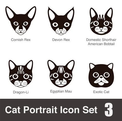 Cat breed face cartoon flat black icon series, vector illustration Stock Illustration