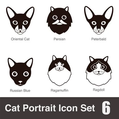 Cat breed face cartoon flat black icon series, vector illustration Stock Illustration