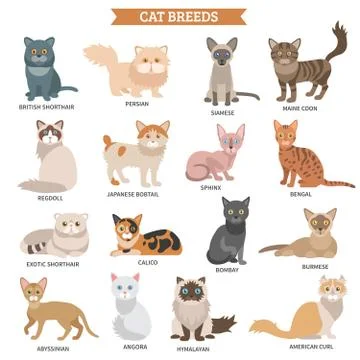 Cat breed set イラスト素材