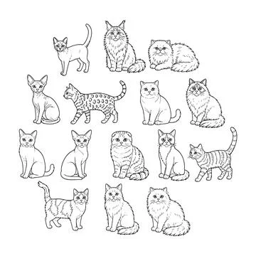 Cat Breeds Hand Embroidery Pattern Cute Feline Hoop Beginner DIY Gift Animal Lov Illustrazione stock
