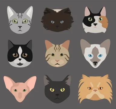 Cat breeds icon set flat style Stock Illustration
