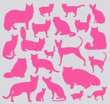 Cat breeds icon set flat style Stock Illustration