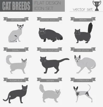 Cat breeds icon set flat style Stock Illustration