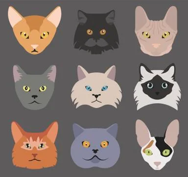 Cat breeds icon set flat style Stock Illustration