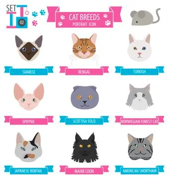 Cat breeds icon set flat style Stock Illustration