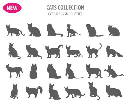 Cat breeds icon set flat style isolated on white. Create own infographic ab.. Illustrazione stock