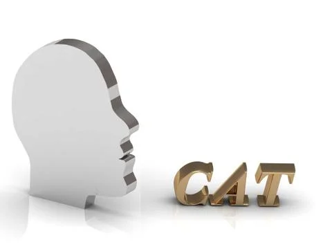 CAT bright color letters and silver head mind on a white background Stock Illustration