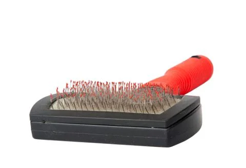 Cat brush Stock Photos