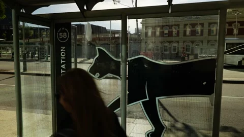 CAT bus stop in Perth city centre 6K Stock Footage 311968952