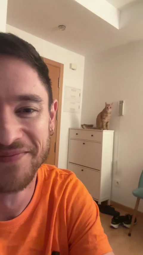 Cat Calmly Knocks Down Phone, Murcia, Spain - 13 Nov 2025 Stock Footage 321090792