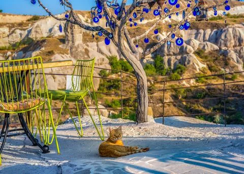 Cat in Cappadocia Stock Photos