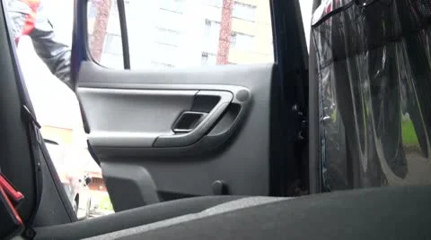 The cat in the car Stock Footage 8848898