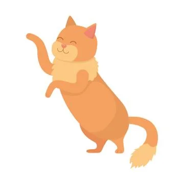 Cat cartoon design vector illustrator Stock Illustration