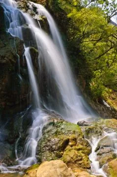 Cat cat waterfall Stock Photos