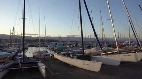 Cat catamarans in Geneva Stock Footage 64127980