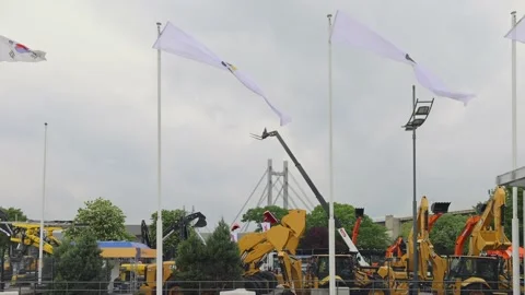 Cat Caterpillar Construction Video stock 212086246