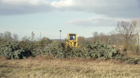 CAT Caterpillar working on the ground 動画素材 200505568