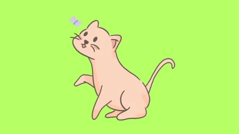 Cat chasing butterfly animation  isolated green screen background Stock Footage 300838607