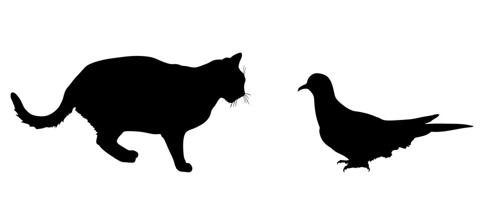 Cat chasing dove bird vector silhouette illustration Stock Illustration