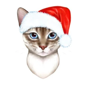 Cat in a Christmas hat Stock-Illustration