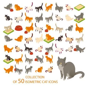 Cat cions Stock Illustration