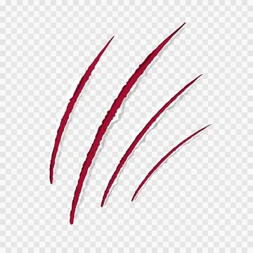Cat claws red scratches, torn paper edge isolated on transparent background Stock Illustration