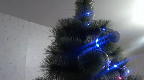 The cat climbed the Christmas tree Stock Footage 68568014