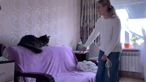 The cat climbed onto the couch and licks itself. A girl strokes a Maine Coon. Vídeos de archivo 241828388