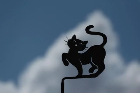 Cat in the cloud Foto stock