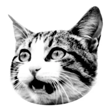 Cat collage. Design element in trendy dotted pop art style. Retro halftone ef 스톡 일러스트