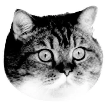 Cat collage. Design element in trendy dotted pop art style. Retro halftone ef Stock-Illustration