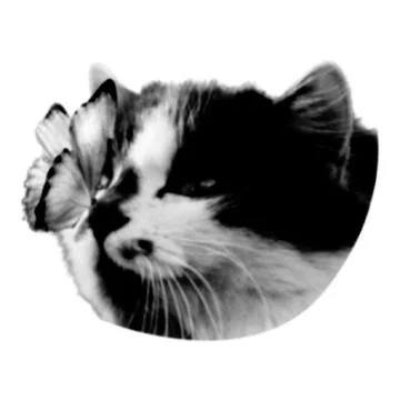 Cat collage. Design element in trendy dotted pop art style. Retro halftone ef イラスト素材