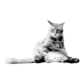 Cat collage. Design element in trendy dotted pop art style. Retro halftone ef 스톡 일러스트