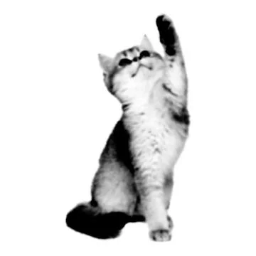 Cat collage. Design element in trendy dotted pop art style. Retro halftone .. 스톡 일러스트