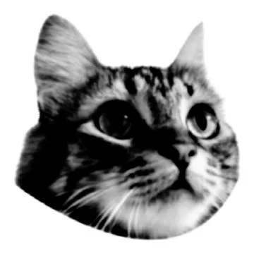Cat collage. Design element in trendy dotted pop art style. Retro halftone ef Stock Illustration