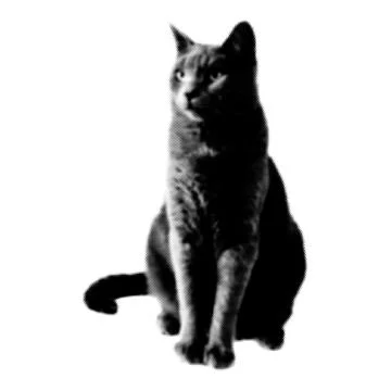 Cat collage. Design element in trendy dotted pop art style. Retro halftone ef Stock Illustration
