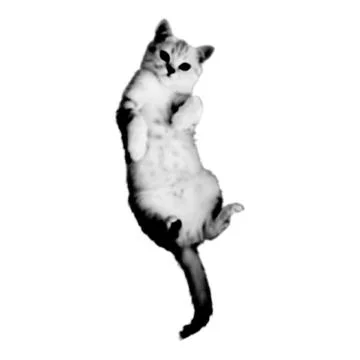 Cat collage. Design element in trendy dotted pop art style. Retro halftone ef Stockillustratie