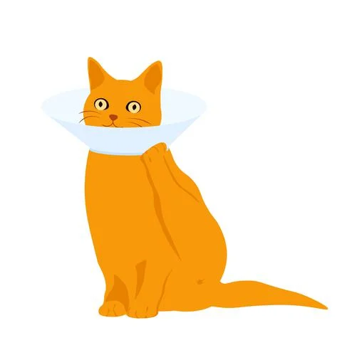 Cat collar Stock Illustration