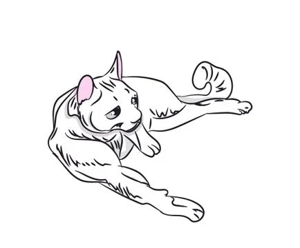 Cat color, vector Stock Illustration