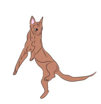 Cat color, vector Stock Illustration