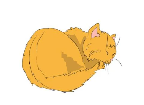 Cat color, vector Illustrazione stock