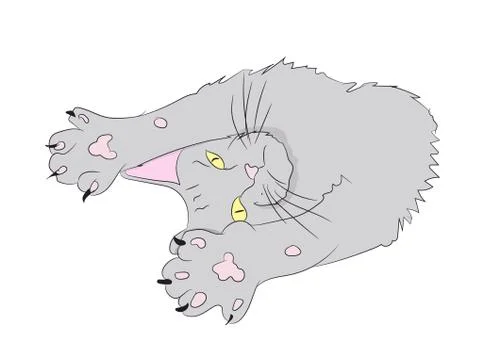 Cat color, vector Stock Illustration