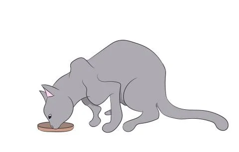 Cat color, vector Stock Illustration