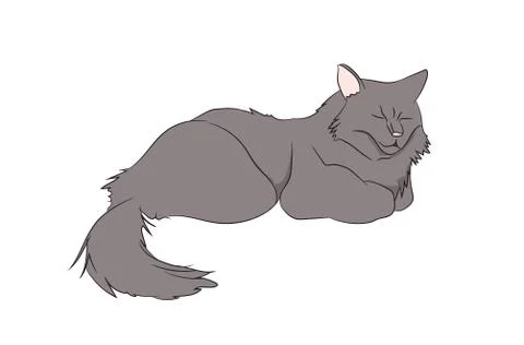 Cat color, vector Stock Illustration