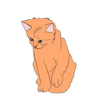 Cat color, vector Stock Illustration