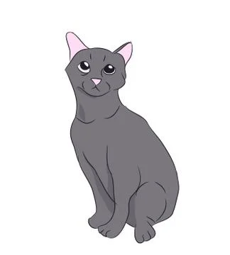 Cat color, vector Stock Illustration